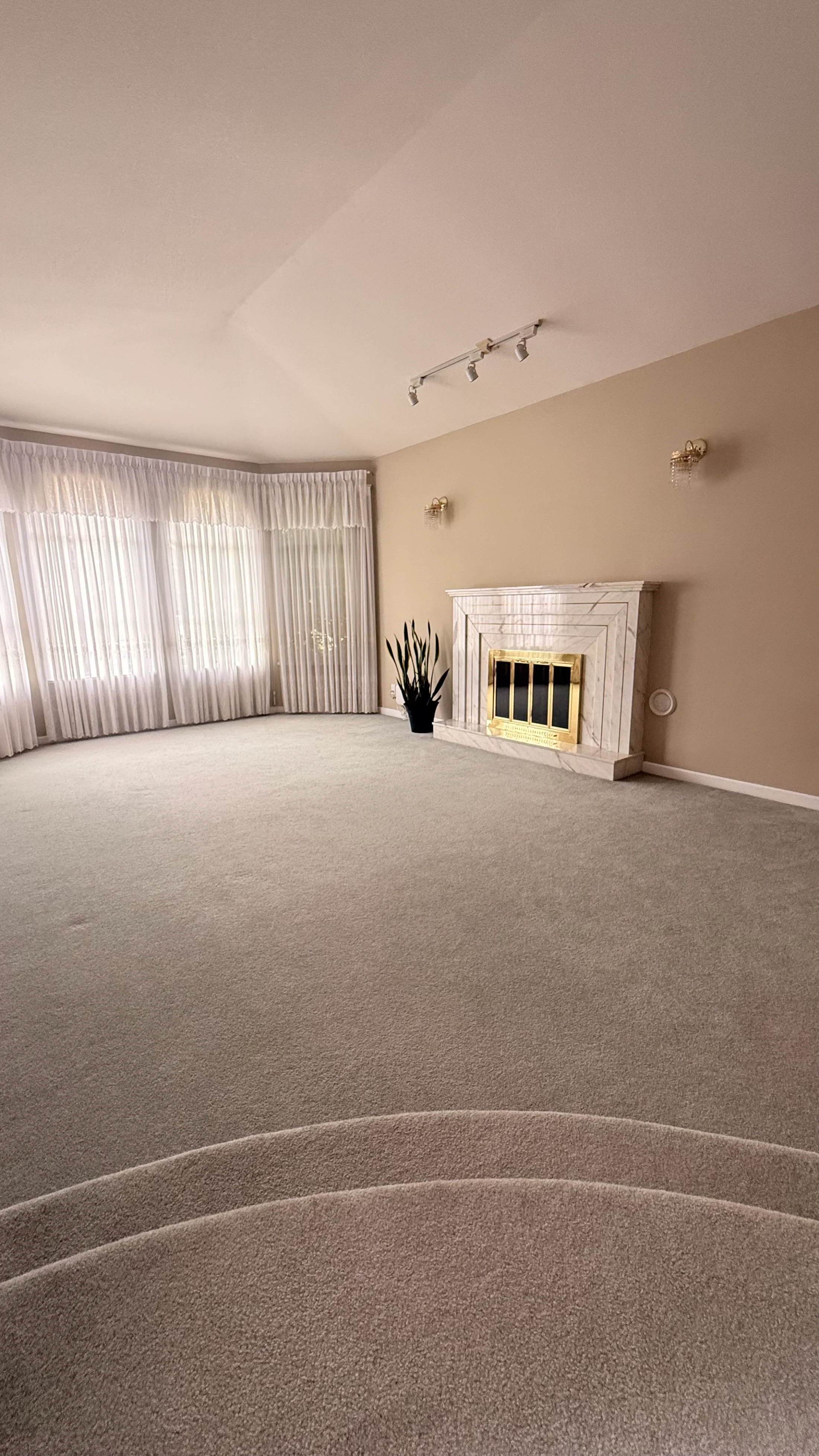Living room before staging: bare carpet, brass and marble fireplace